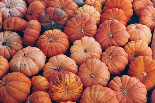 Sådan fejrer du halloween i Danmark fra idé til fest