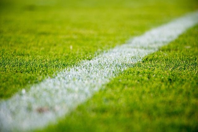 Danmarks fodboldlandshold i danskernes hverdag